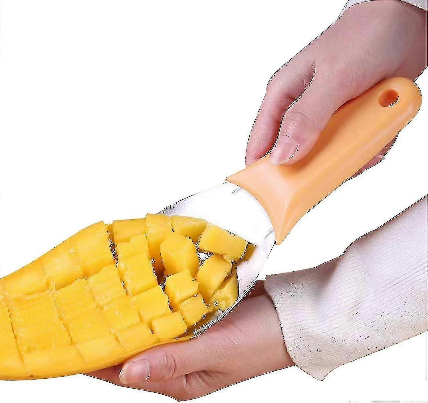 Stainless Steel Mango Cutter & Fruit Tool Set for Kitchen