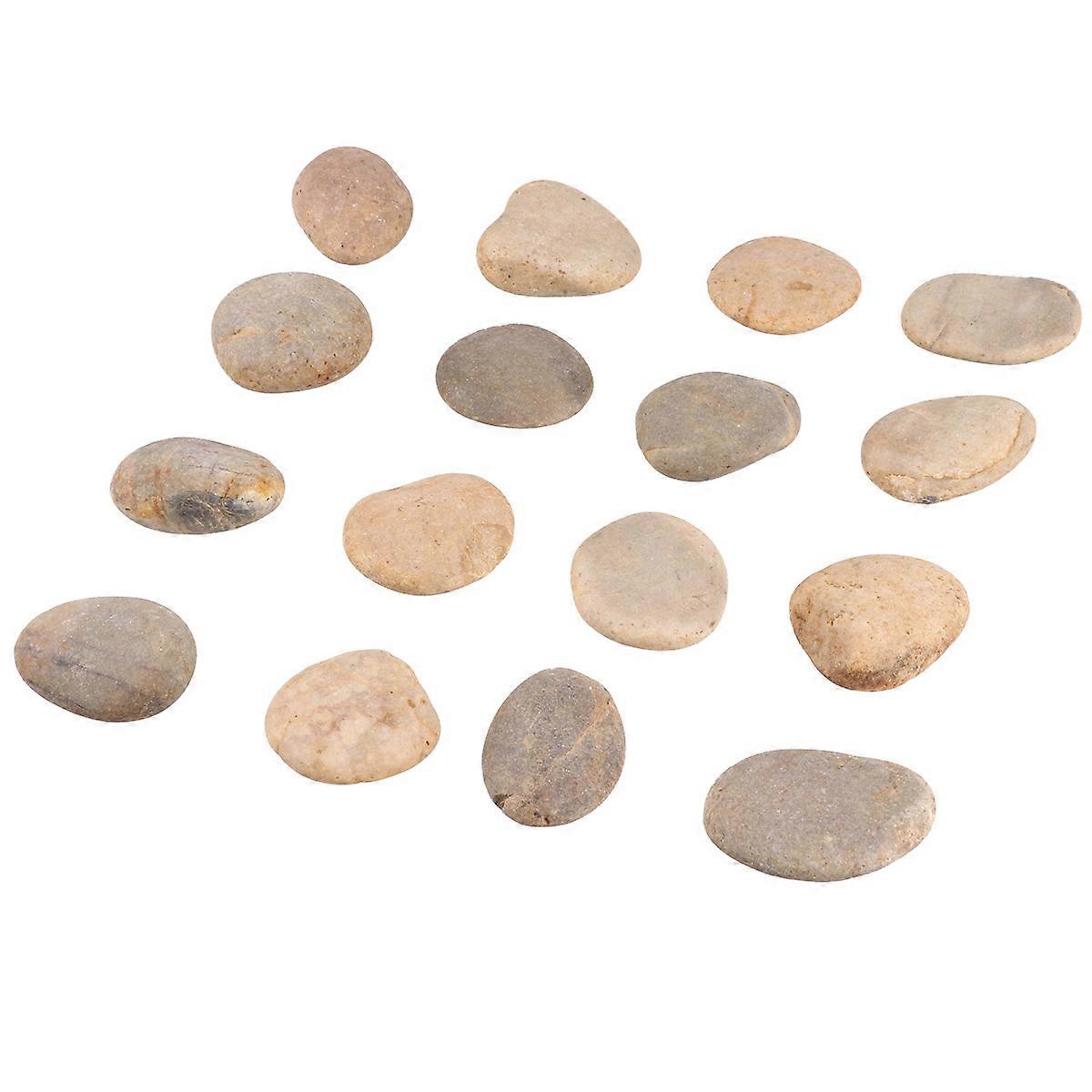 Paintable Rocks Irregular Shaped Stones Artists Diy Natural Pebbles Creative Design Potting Plants Random Style 16Pcs