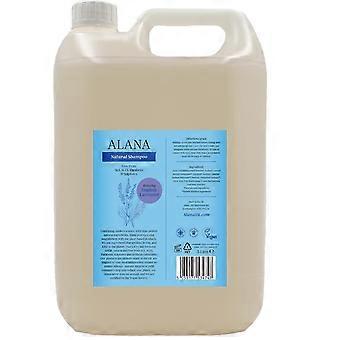 Alana English Lavender Natural Shampoo 5L - 2 Pack