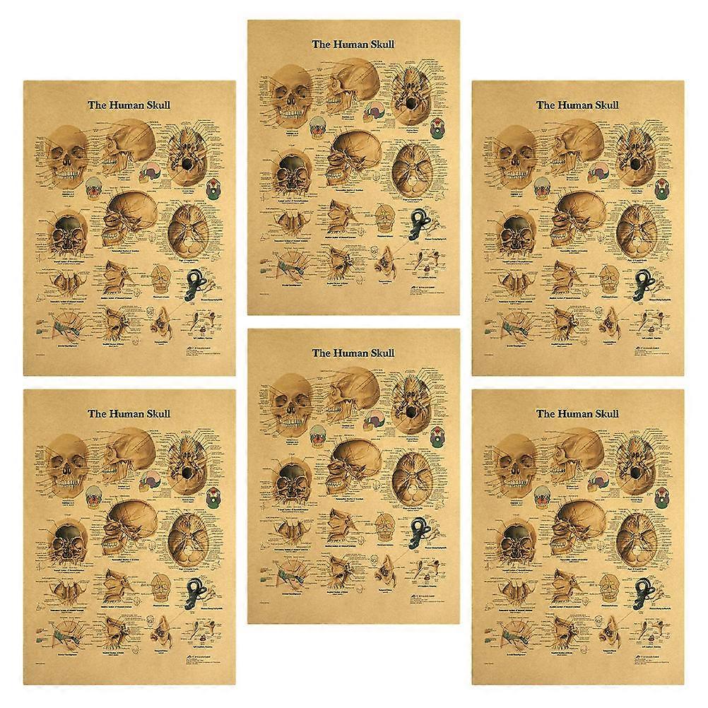 Brain Anatomy Poster 6 Pcs Educational Wall Decoration Khaki Color Rectangular Shape For Adults