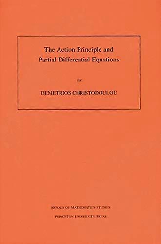 The action principle and partial differential equations