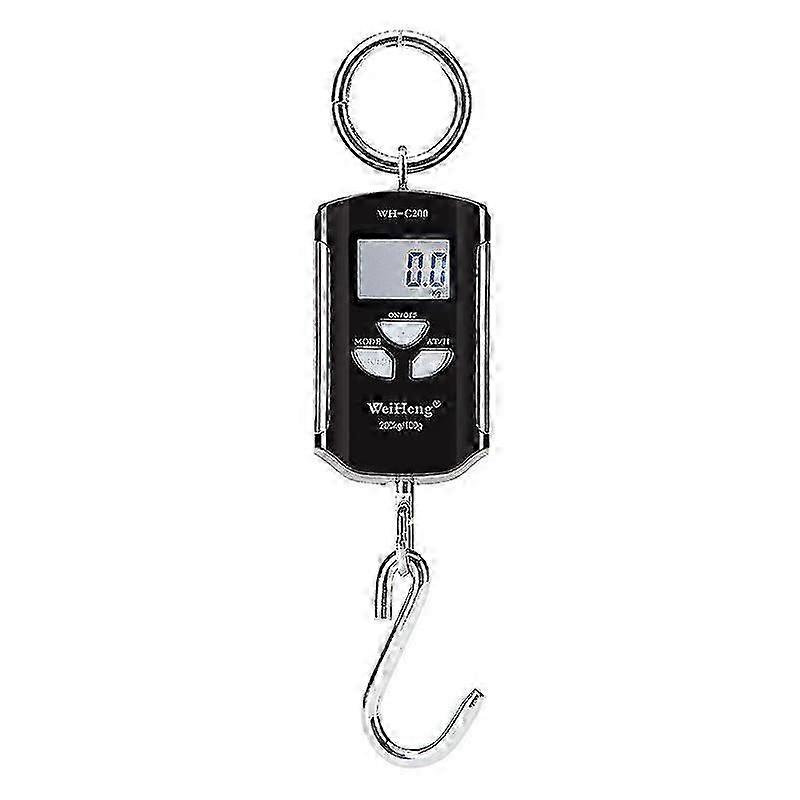 Portable Electronic Crane Scale Precise Range 200 Kg / 100 G, Silver Frame