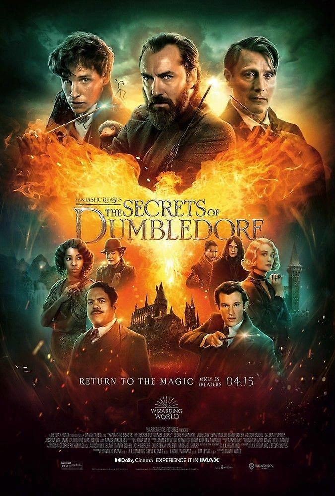 Fantastic Beasts Memory Puzzle 72