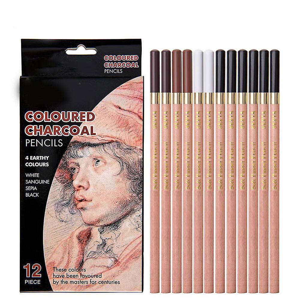 Sketch Drawing Pencils 12 Piece Professional Pencils Set Charcoal Pencils Shading Pencils for Adults