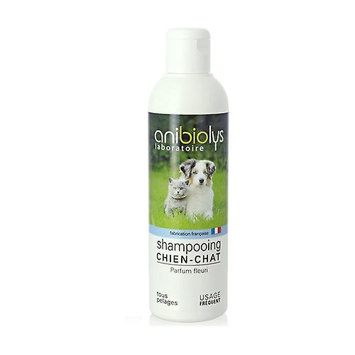 Ecosoin dog and cat shampoo 250 ml