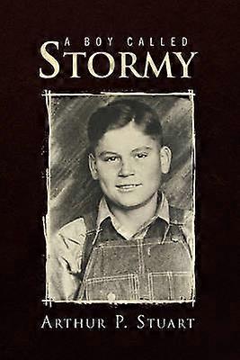 Een jongen genaamd Stormy