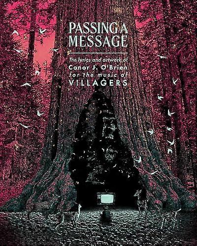 Passing a Message: The lyrics and artwork of Conor J. OBrien for the music of Villagers