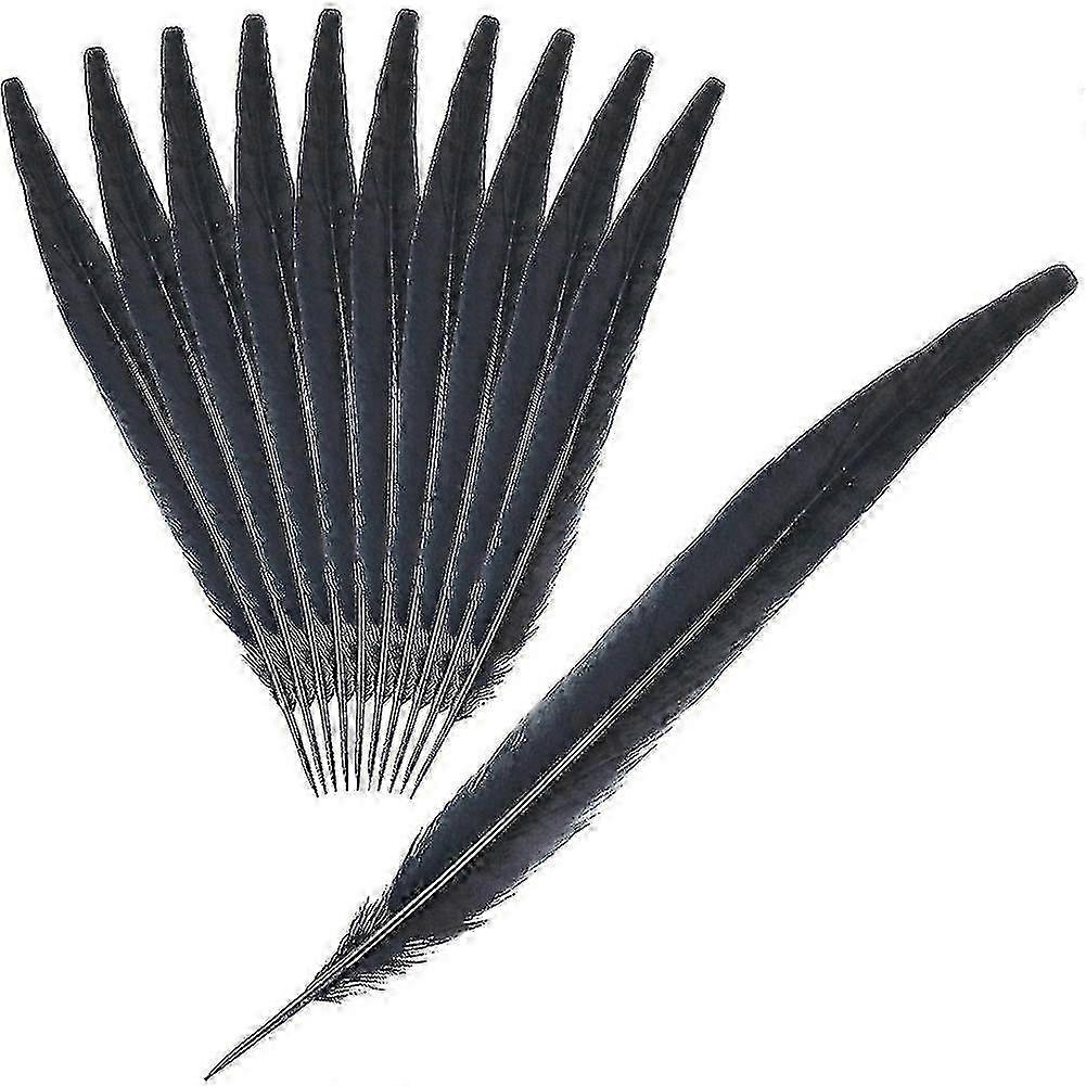 20pcs Feathers Compatible with Diy Craft, 9.8 -11.8 Pheasant Feather Rooster Feather Chicken Feathe
