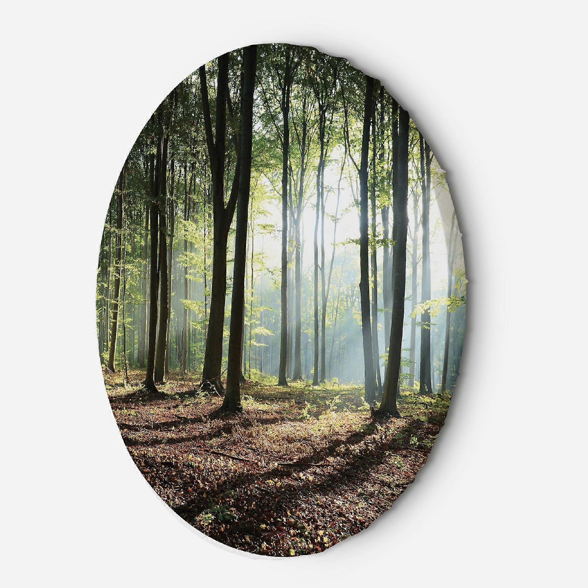 Lienzo, Bosque al amanecer - 80x80