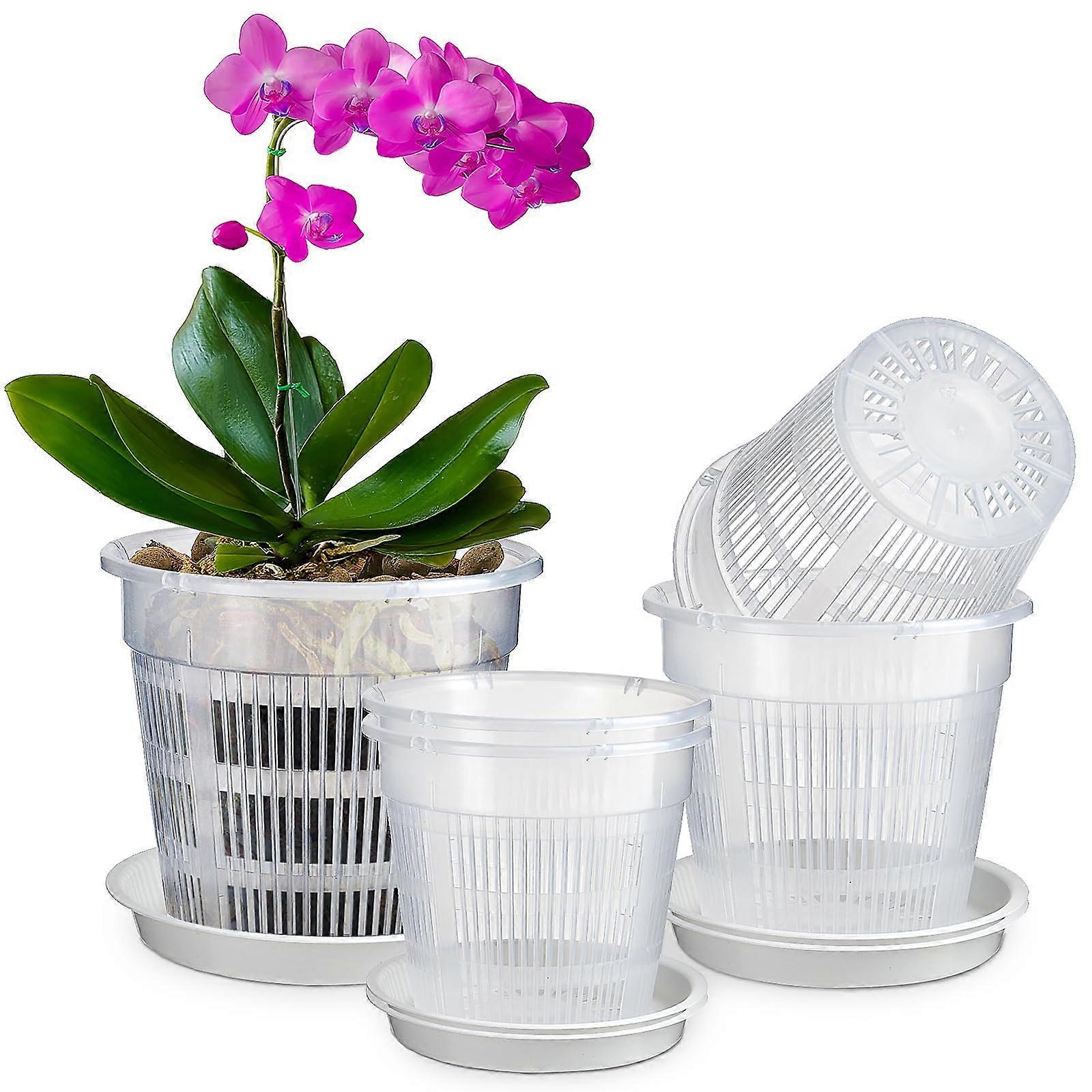 Orchid Pot Set of 6, Two Each of 4, 5, and 6 Inch Pots With Drainage Holes and Saucers for Repotting