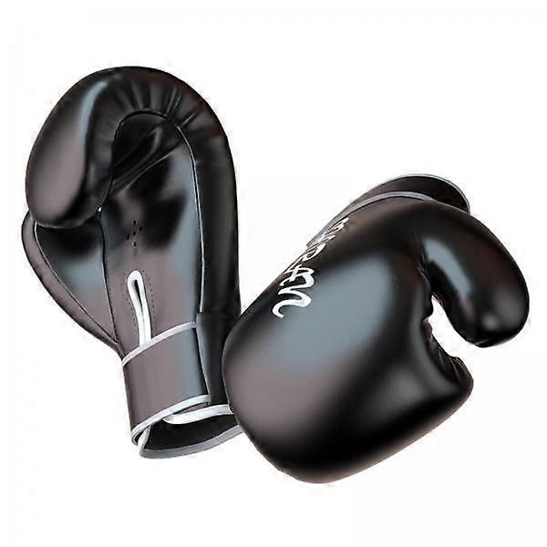 2xBoxtraining Handschuhe Sparring Boxsack 10oz_Black