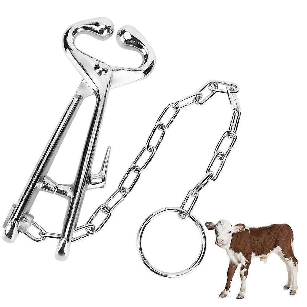 Cow Nose Lead Bull Cattle Nose Ring Pliers with Steel Chain Farm Tool for Veterinary and Ranch Use