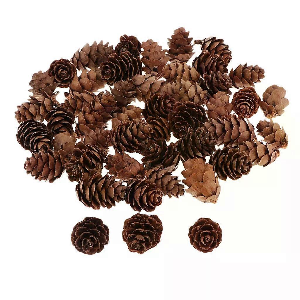 Natural Brown Pinecones Ponderosa Pine Cones Approx 60 Pcs of Assorted Sized Pine Cones Fall and Christmas Pine Cones Ornament