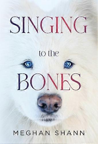 Singing To The Bones by Meghan Shann Paperback