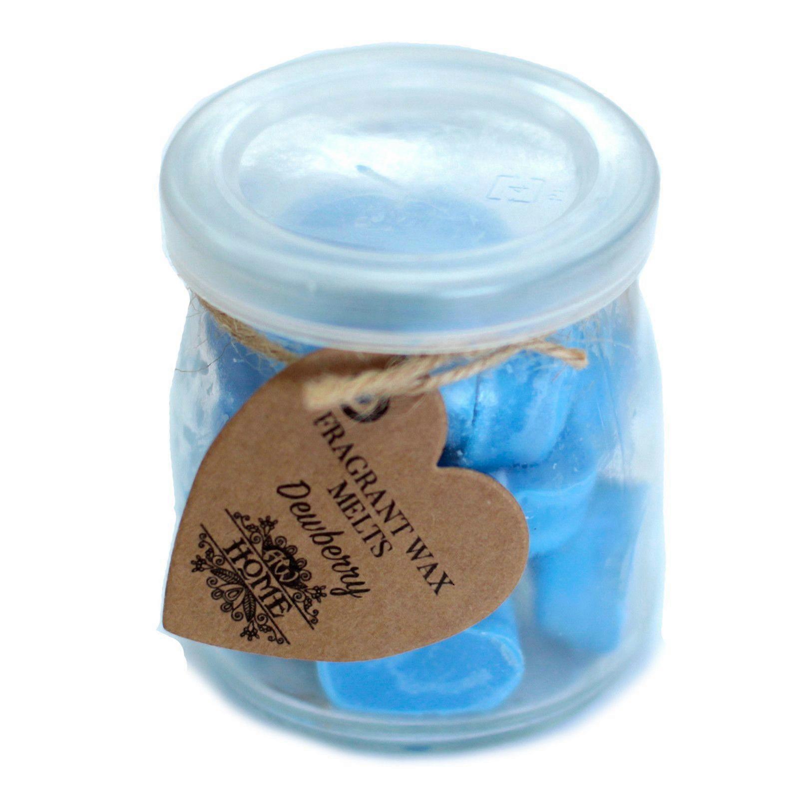 Soywax Melts Jar - Dewberry X 1