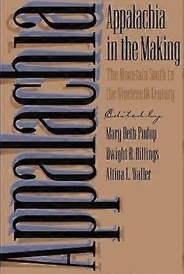 Appalachia in the Making - The Mountain South in the Nineteenth Century