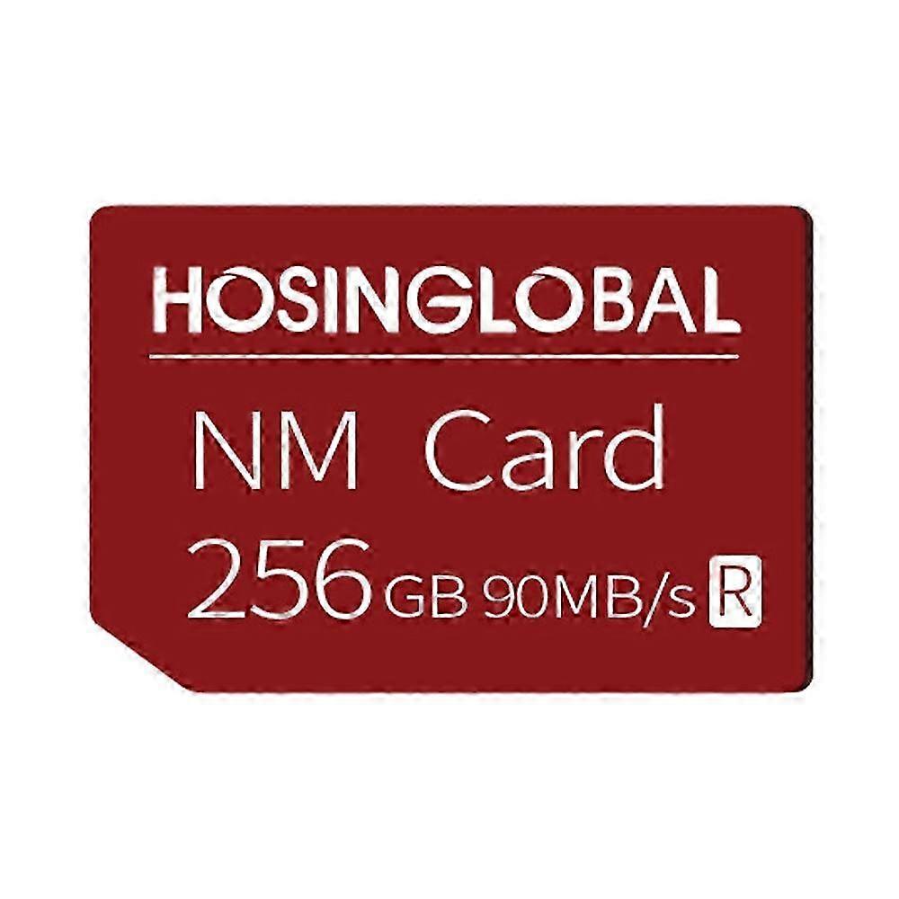 HOSINGLOBAL 90MB/s 256GB NM Card 26s