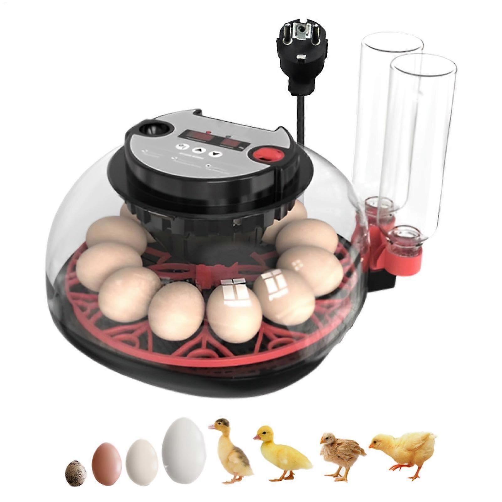 Automatic 12 Egg Incubator with LED, Egg Rotation and Smart Temperature Control for Hatching