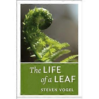La vita di una foglia