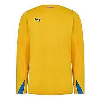Puma Mens Team Long-Sleeved Shirt