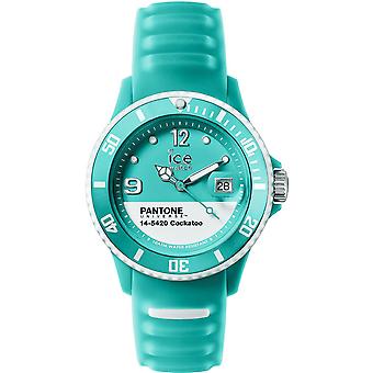 Pantone universe(tm) Watch for Unisex Analog Quartz with Silicone PAN bracelet. Cok. U.S.14