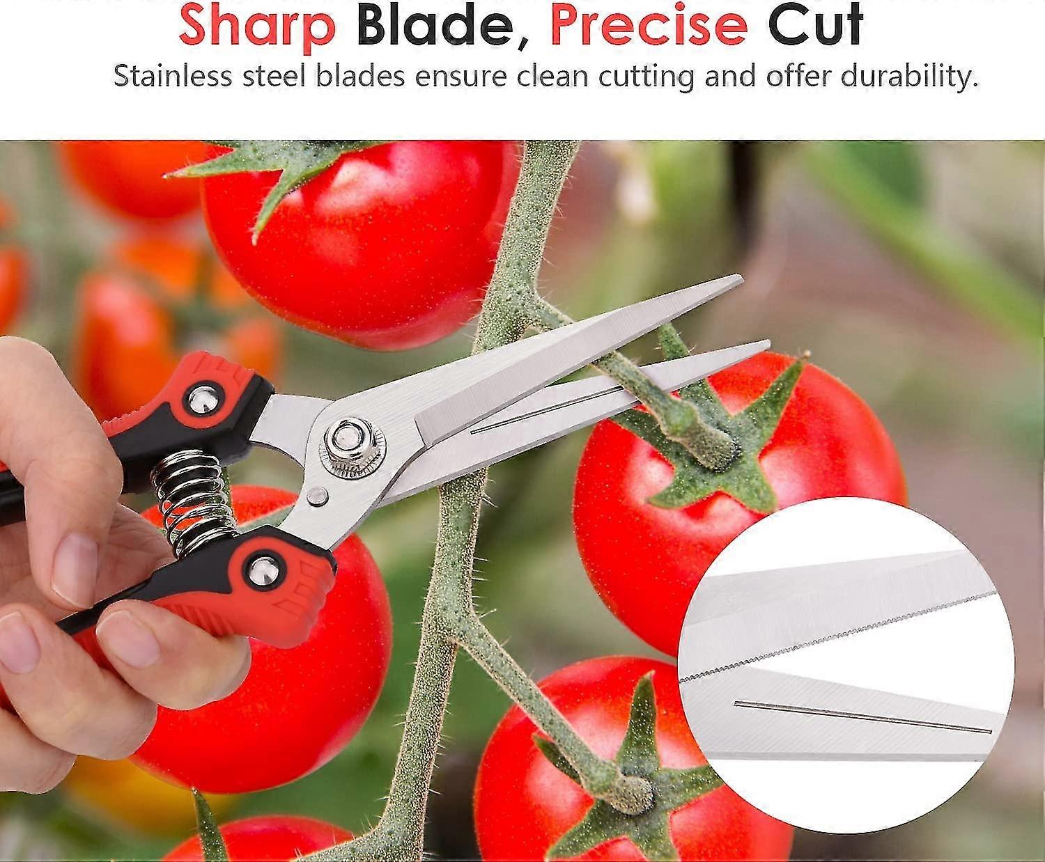 Garden Pruners For Picking Fruit, Pruning Plants