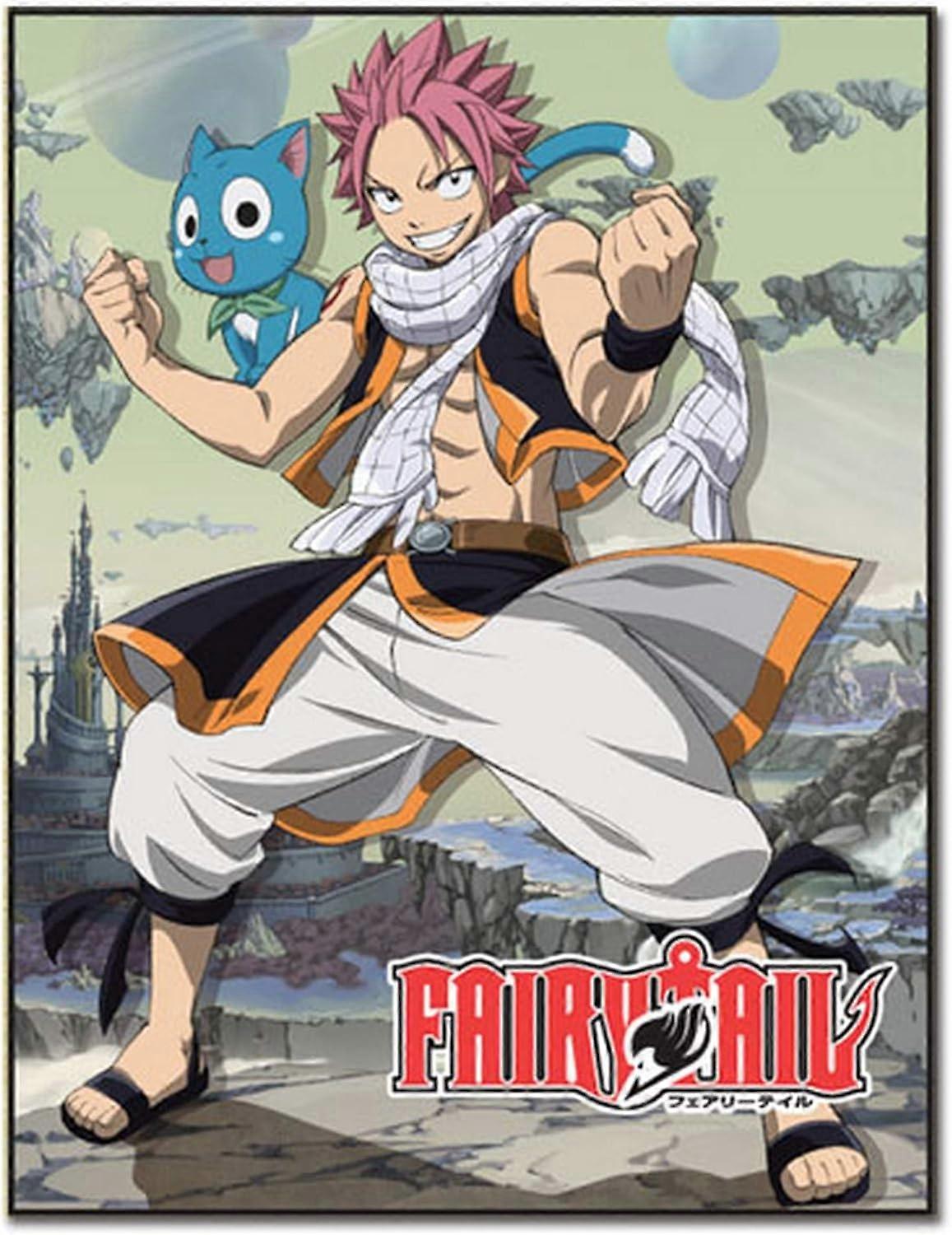 57698 Fairy Tail-Natsu & Happy Sublimation Deka, Jedna velikost, Multi/Barevná