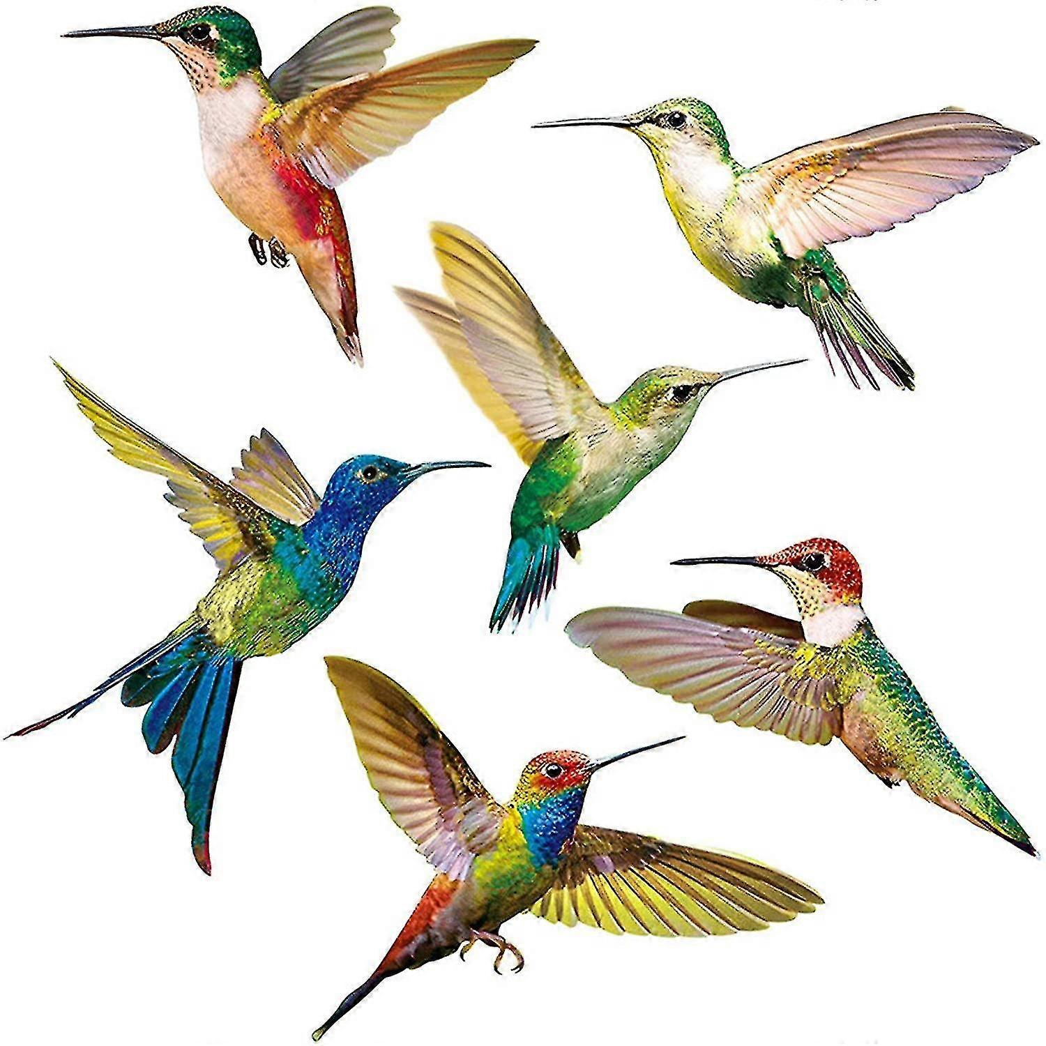 Anti-collision Window Sticker 6 Pieces Hummingbird Window Sticker Birds Window Stickers