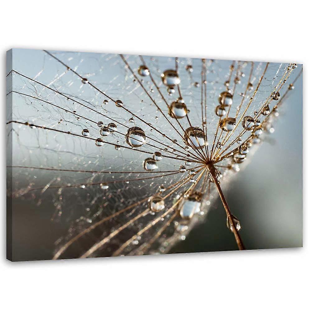 Lienzo hinchable en gotas de rocío - 120x80