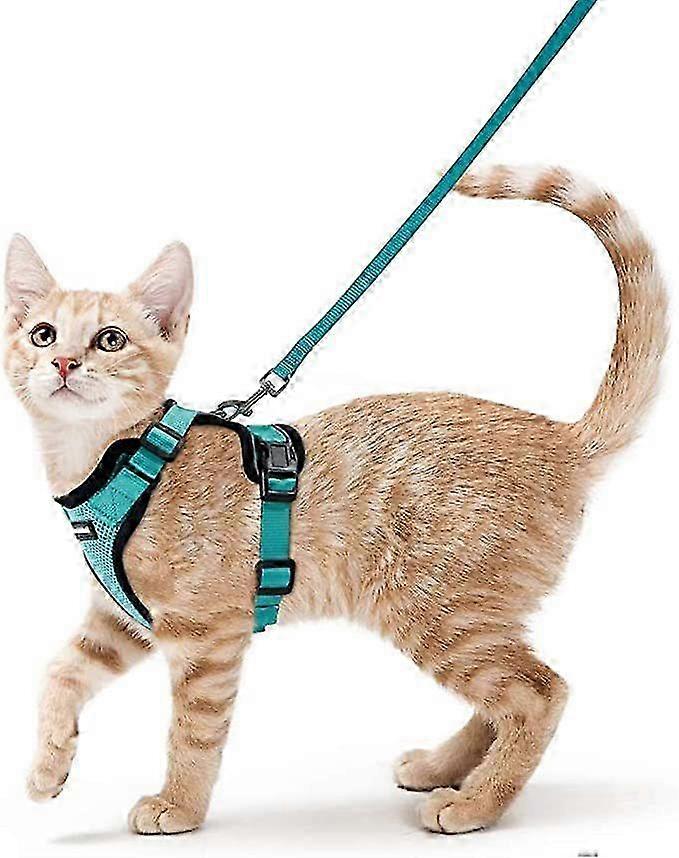 (xs) cat walking rope, cat anti-breaking supplies, anchor chain, vest, chest strap, cat outing special rope