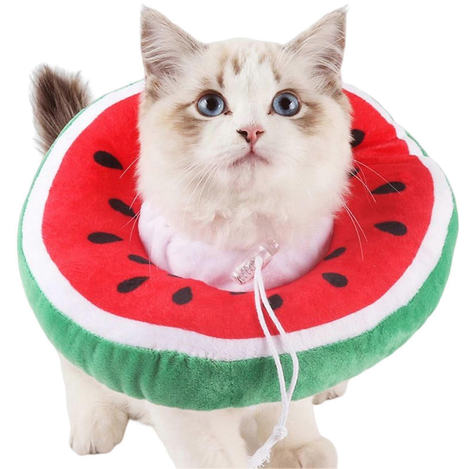 Soft Cat Cone Collar Protective and Cute Collar for PostSurgery Adjustable Soft Elizabethan Collar for Kittens and Small Dogs M