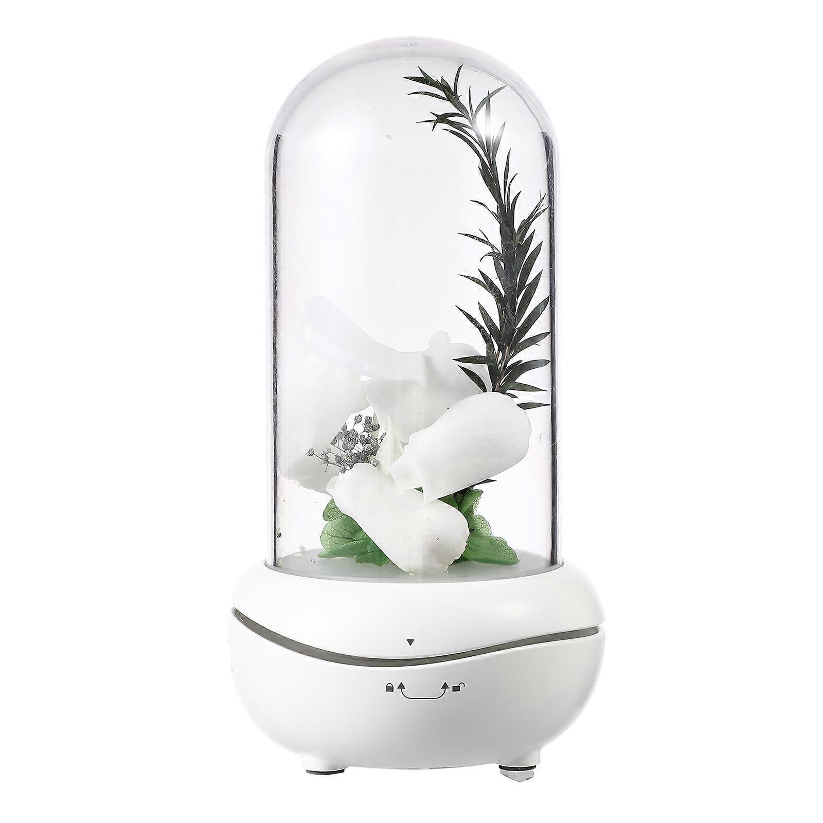 Eternal Flower Humidifier Aromatherapy Diffuser with LED Light for Home in ABS PP PET Material Multi Color 3.5x3.5 Inches
