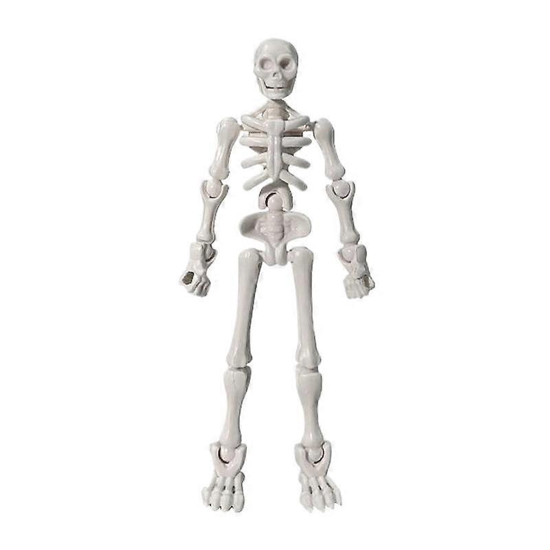 Human Skeleton Model Simulation Mannequin DIY Assembly Model