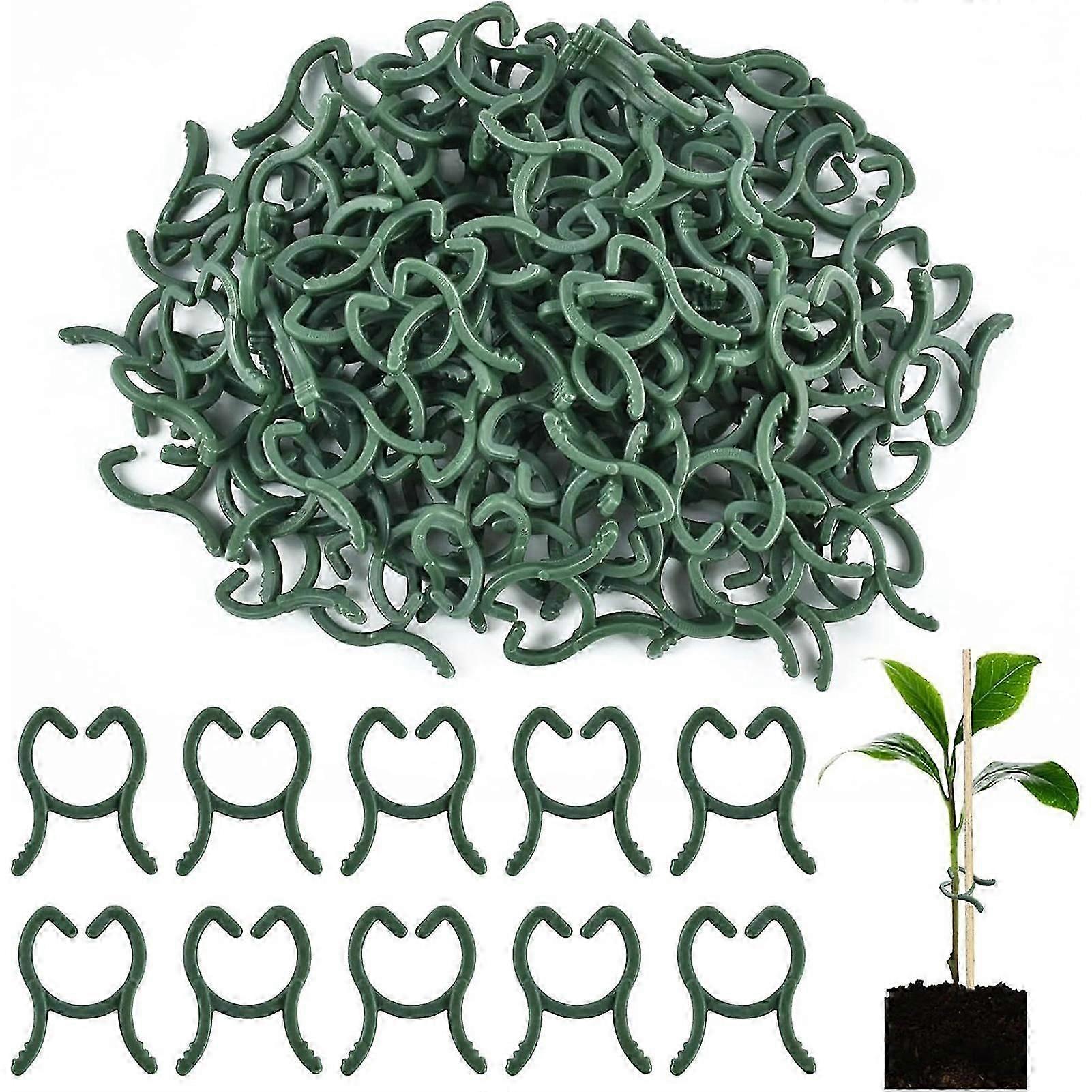 200PCS Plants Gardening Buckles Keep the Branches of the Plant in Place Design for Indoor Outdoor Plant Ornament
