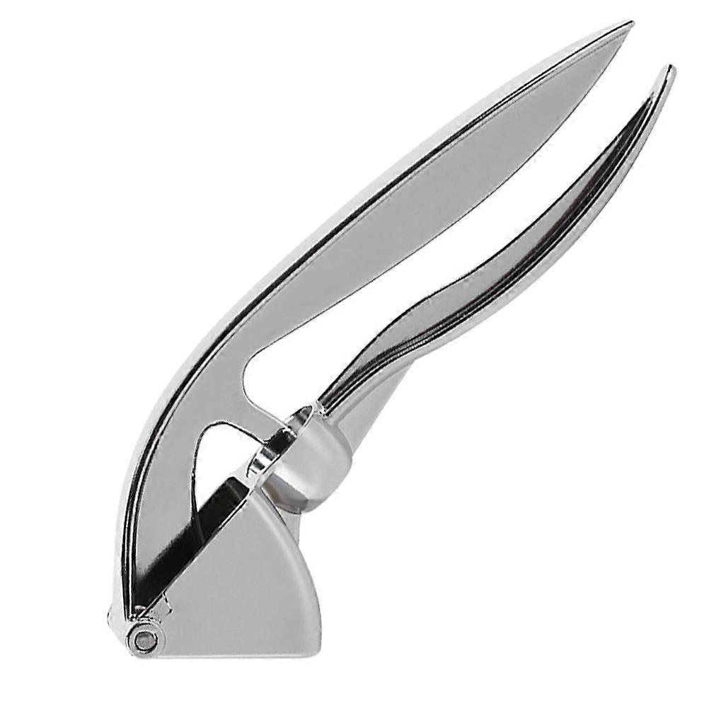 Silver Garlic Press Practical Garlic Masher for Home 2Pcs Set