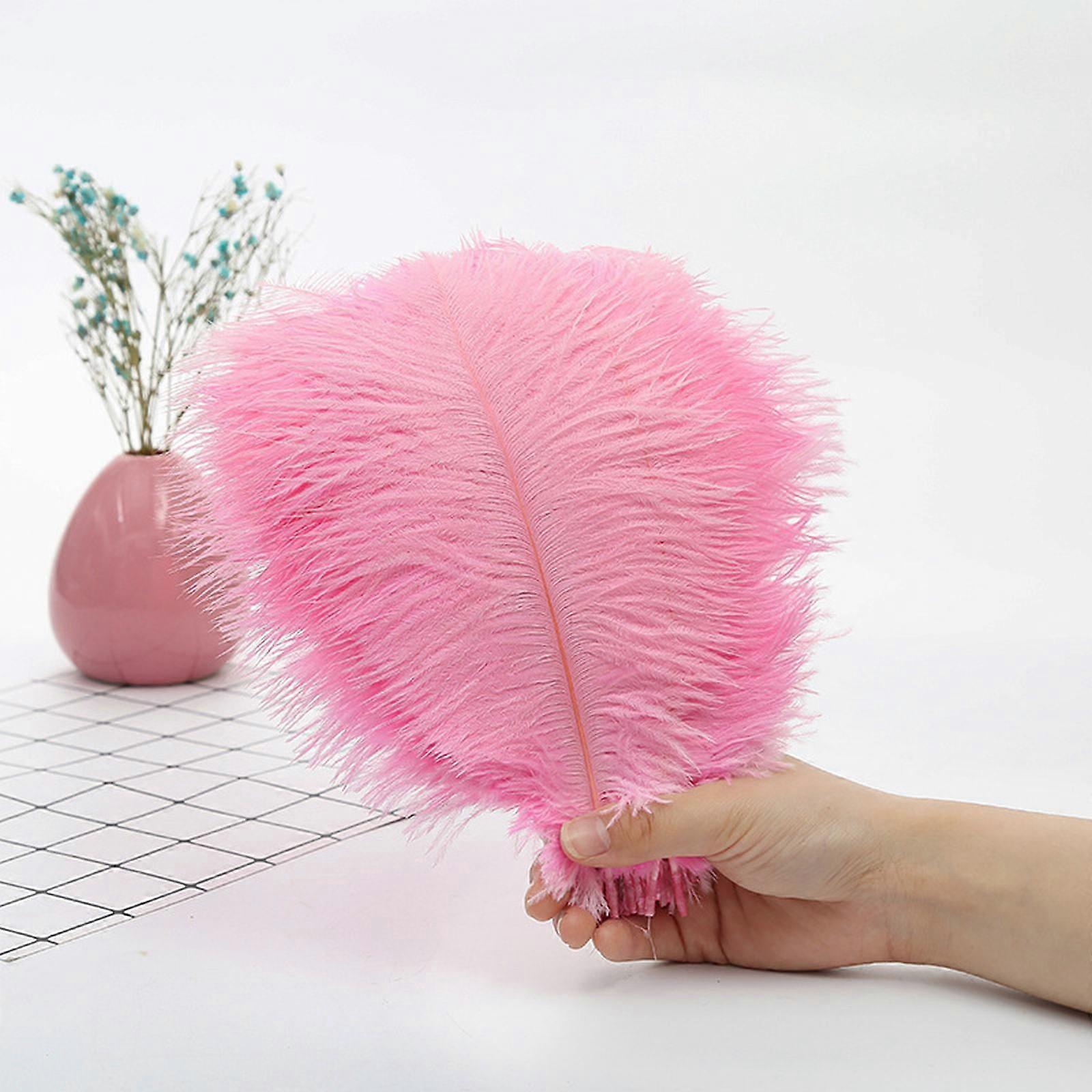 Feather 23cm Or So Stage Props Wall Color Feathers