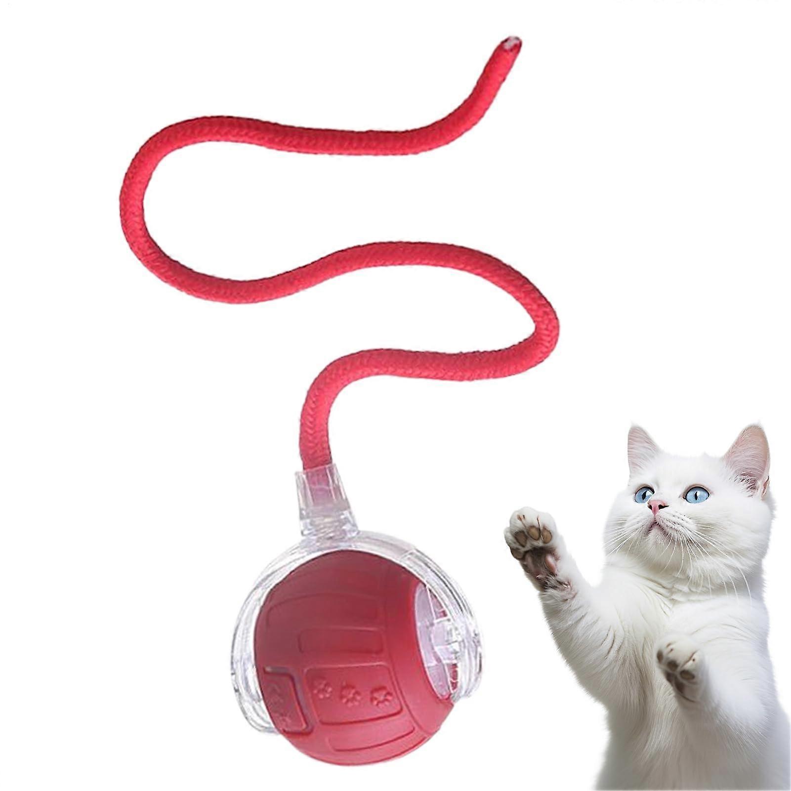 Interactive Cat Toy Automatic Cat Ball with Tail, Random Path, Silent Play, TypeC Charging