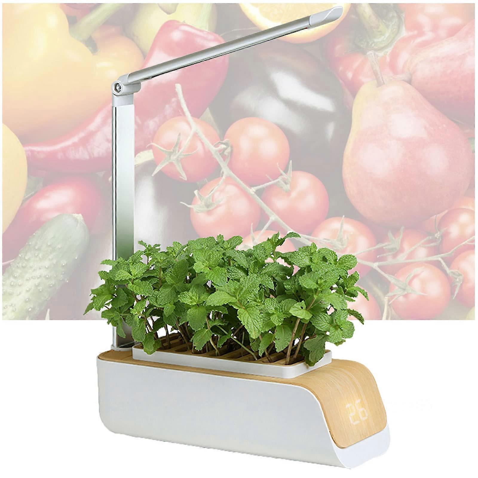 Indoor Hydroponic Grow Kit with Height Adjustable LED Light and Temperature Display for Kitchen