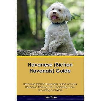 Bichon Havanais -opas Bichon Havanais -opas sisältää: Bichon Havanais -koulutuksen, ruokavalion, sosiaalistumisen, hoidon, turkinhoidon ja paljon muuta