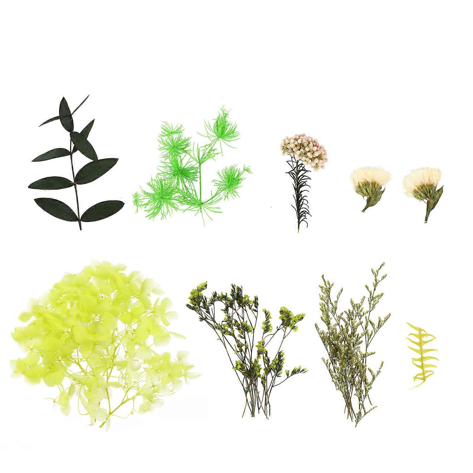 DIY-Trockenblumen-Dekorationsset (Duftblumen)