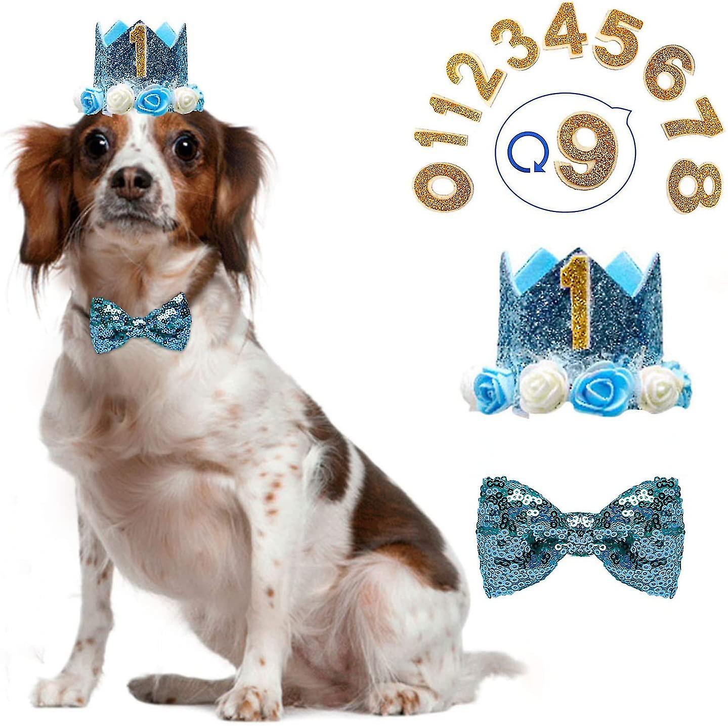 犬の誕生日ボーイクラウン犬の誕生日帽子、0-9フィギュアチャームグルーミングアクセサリーパック1-青広告