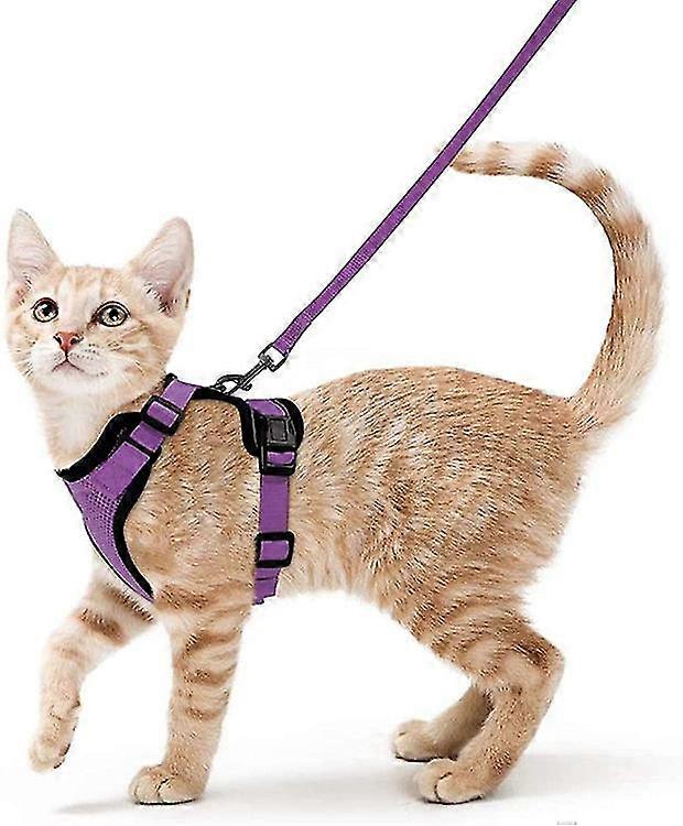 Cat Harness With Leash Escape-proof Cat Leash Kitten Adjustable (xs-s)