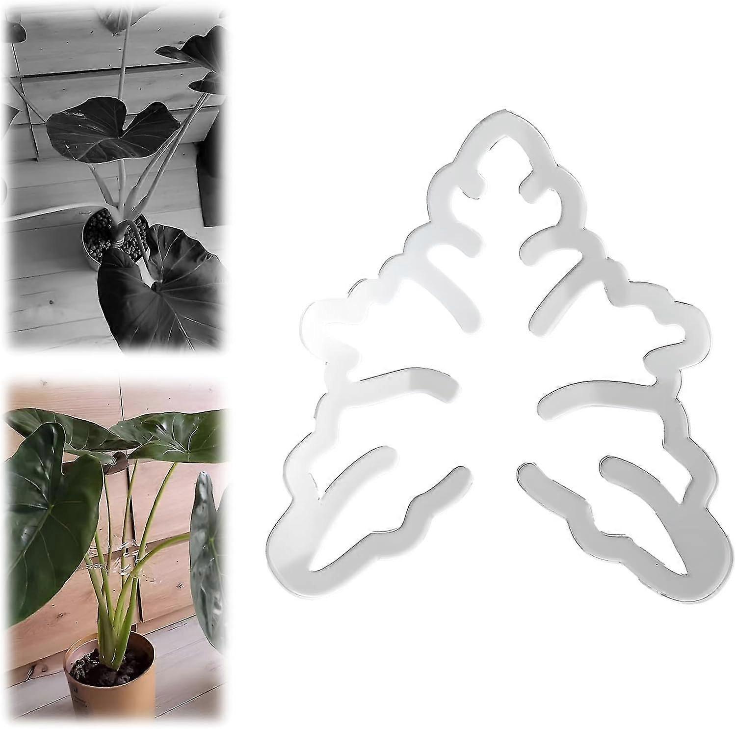 Ensemble de pinces en bambou en forme de carapace de tortue, support de tige de plante en plastique transparent réutilisable, support de maintien pour plantes d'intérieur et d'extérieur