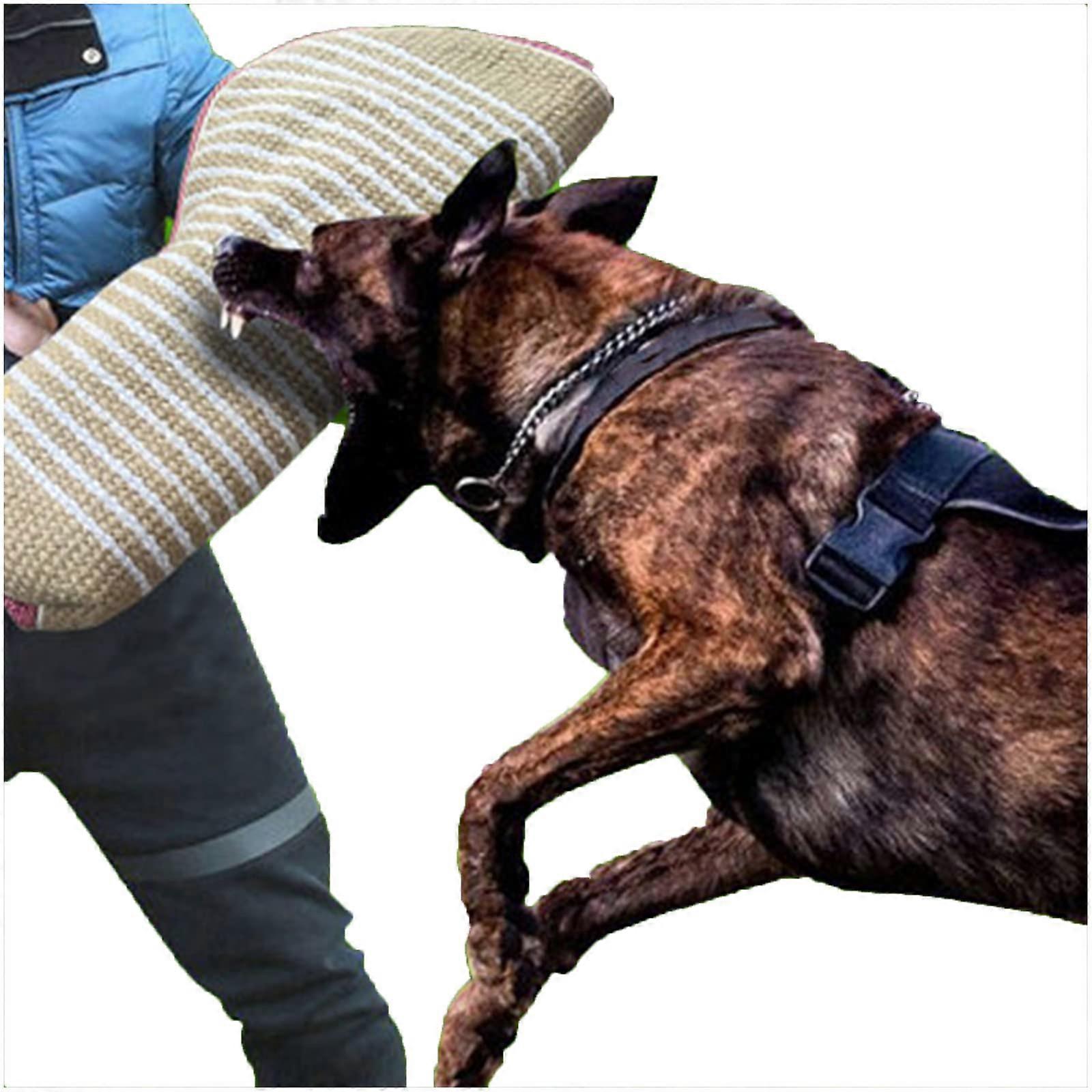Professional Dog Bite Sleeve Bite Arm Sleeve Dog Training Protector for Pitbull German Shepherd Puppy Biting and Playing