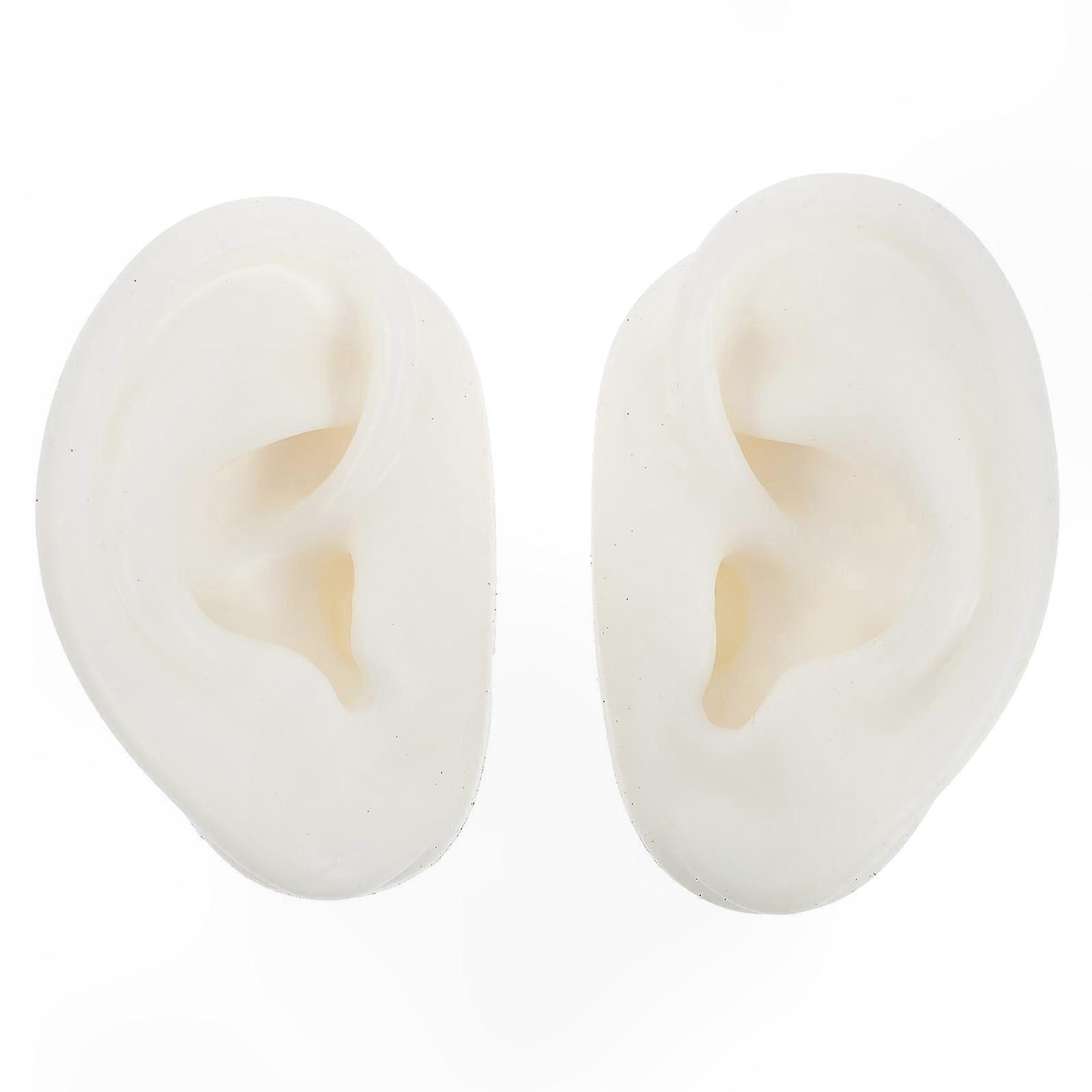 Reusable Silicone Human Ear Models for Display
