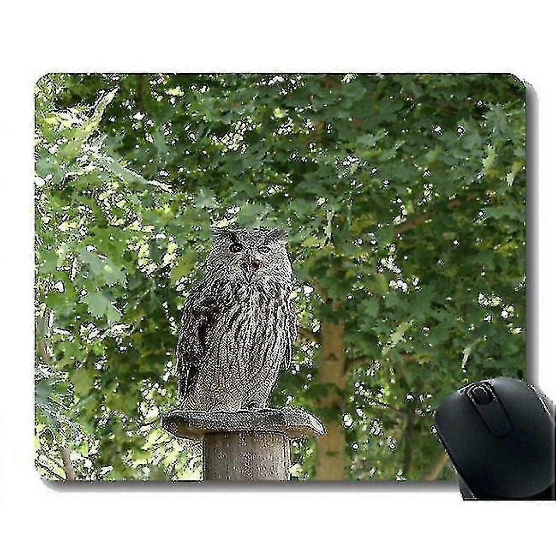 (220x180x3) Mouse Pad With Locking Edge, Flying Bird Mouse Pads