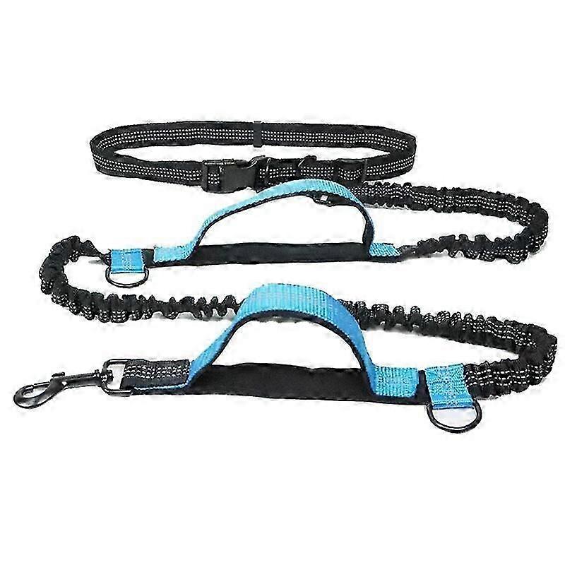 Jogging Dog Leash, Upgrade Hands-free Dog Leash With Two Bungees