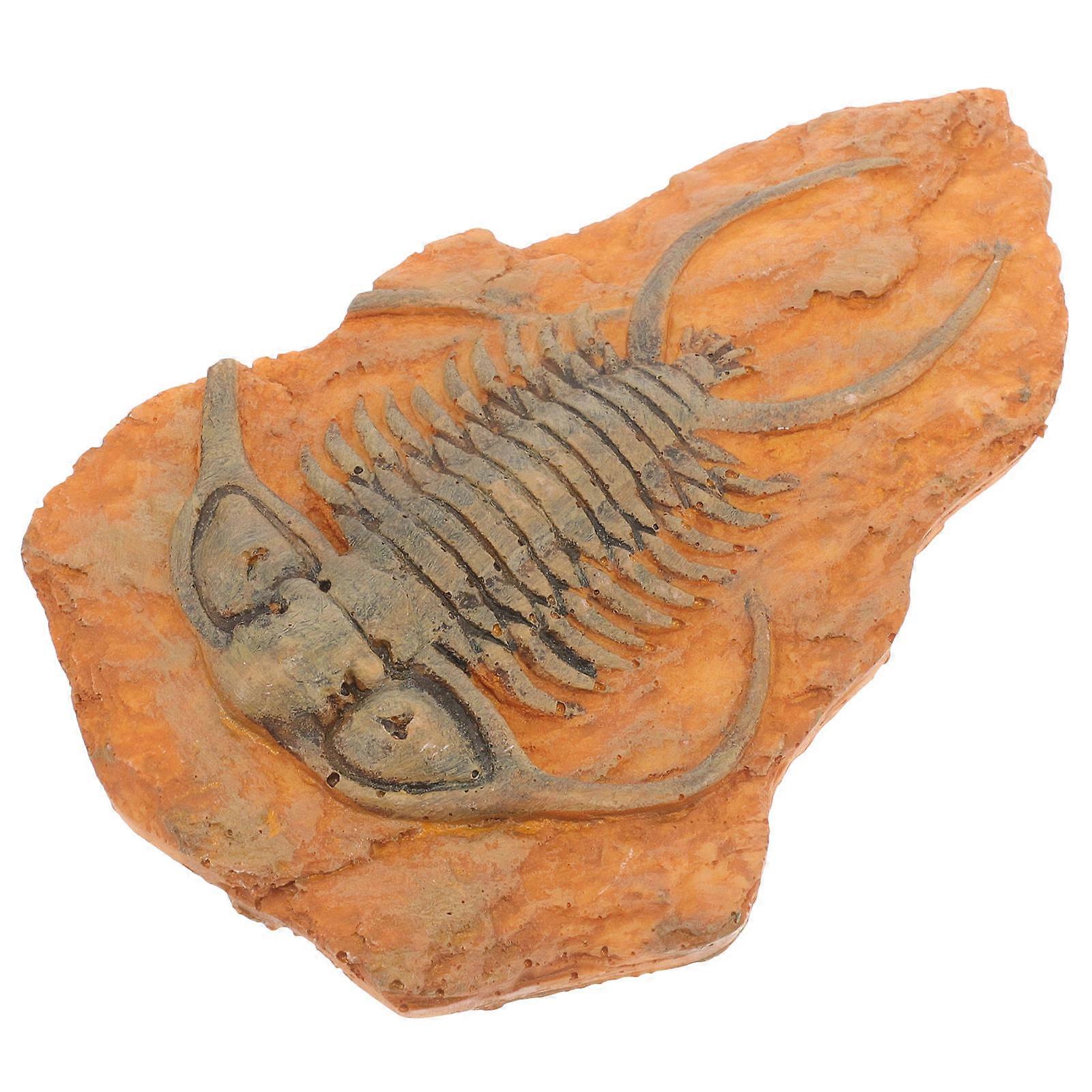 Paleontological Insect Ornament Specimen for Teaching 2Pcs Resin