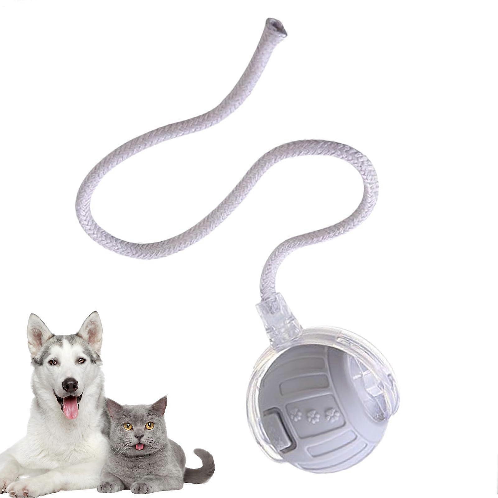 Interactive Cat Toy Automatic Rolling Ball with Random Path, Quiet Indoor Play, TypeC Charging, Gray