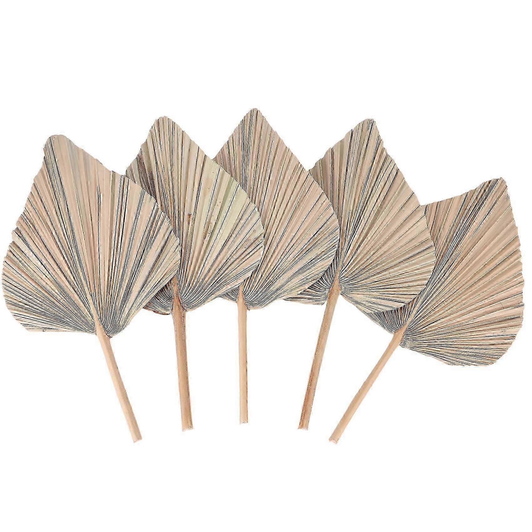 Dried Flowers-FOInfi6702-9480213619052